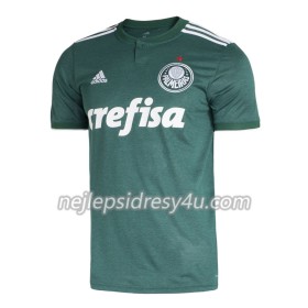 Fotbalový Dres Palmeiras 2018/19 Domácí 